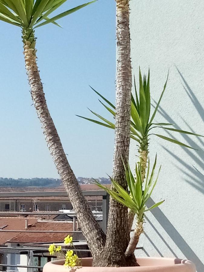 Hotel Chiaraluna Civitanova Marche Buitenkant foto